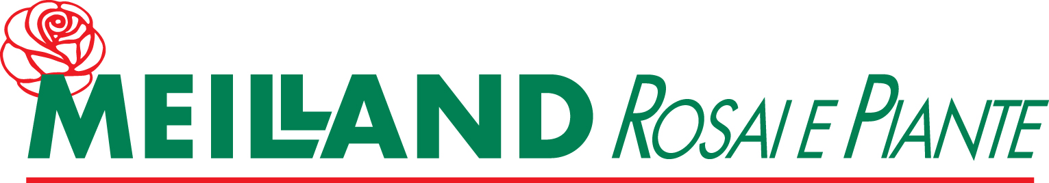 Ancien logo Meilland Richardier
