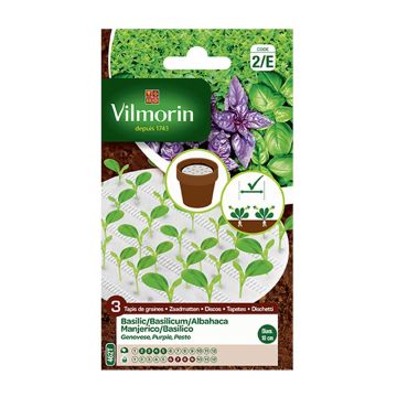 Tapis Trio de Basilic Tapis Trio de Basilic