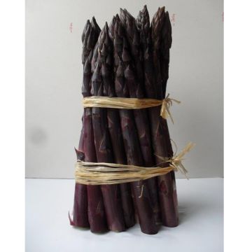 Asperge Jacq Ma Pourpre Asperge Jacq Ma Pourpre