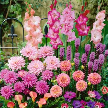 Assortiment Romantique Assortiment Romantique