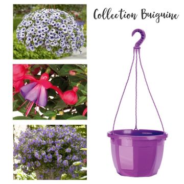 Collection Biguine Collection Biguine