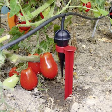 Kit Giardino Iriso Kit Giardino Iriso