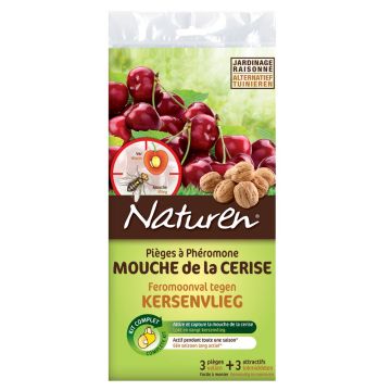 Pièges à phéromones mouche de la cerise Pièges à phéromones mouche de la cerise