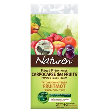 Pièges à phéromones carpocapse des fruits Pièges à phéromones carpocapse des fruits