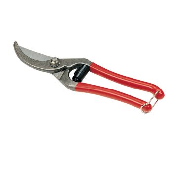CESOIE 21cm CESOIE 21cm