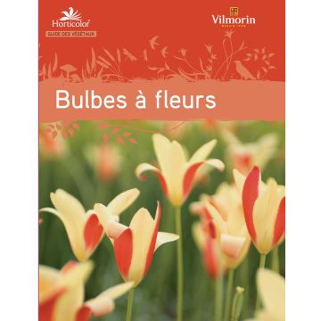 Guide des bulbes à fleurs Guide des bulbes à fleurs