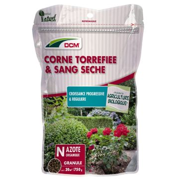 Corne torréfiée