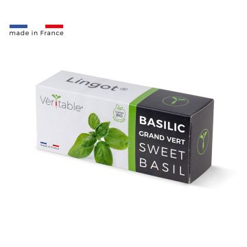 Lingot® Basilic Grand Vert BIO Lingot® Basilic Grand Vert BIO