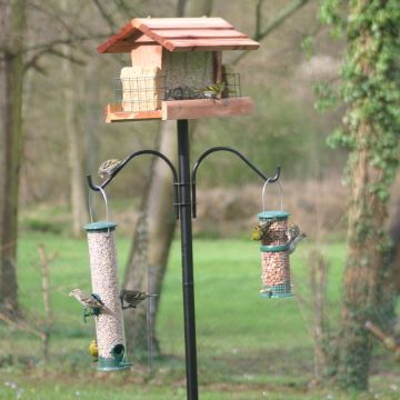 Le poteau Feeder Pôle Plus avec un mangeoire