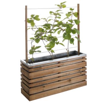 Bac Trellis Lign Z Bac Trellis Lign Z