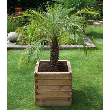 Bac en pin carré Oléa 60 cm Bac en pin carré Oléa 60 cm
