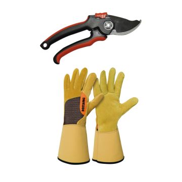 Lot Gants Roncier + Sécateur Professionnel T10 Lot Gants Roncier + Sécateur Professionnel T10