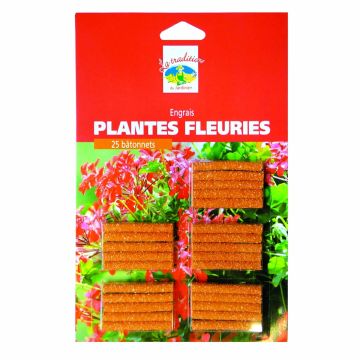 Engrais plantes fleuries