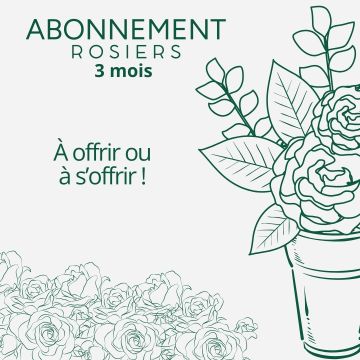 Abonnement : 1 rosier par mois pendant 3 mois