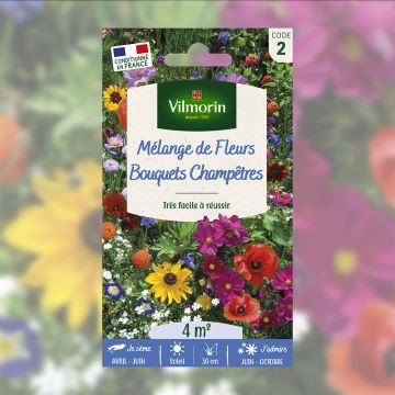 mélange de fleurs bouquets champêtres mélange de fleurs bouquets champêtres