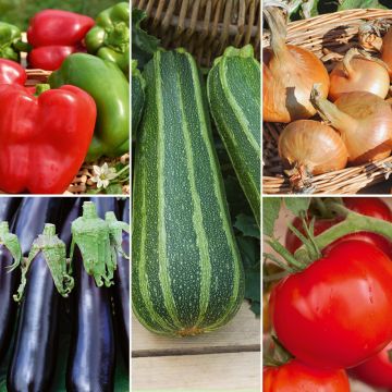 Graines pour ratatouille maison Graines pour ratatouille maison