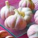 Ail rose CLEDOR ®