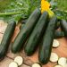 Zucchina verde nera degli ortolani BIO