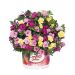 Composition Calibrachoa Confetti Garden TM MyBonnie ‘22