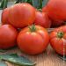 Tomate Loriane F1