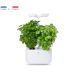 Potager d'intérieur Exky® Classic