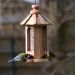 Mangeoire L’Apéro pour oiseaux