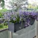 Jardinière Cocoripot Jade®