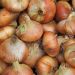 Cipolla Stuttgarter Riesen