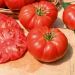 Plant de Tomate Buffalo Steak F1