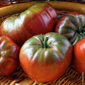 Pomodoro nero di crimea