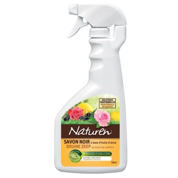 Sapone nero a base d'olio d'oliva
