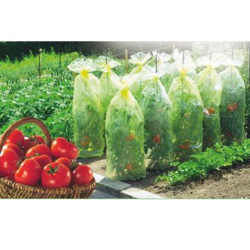 Film tubolare microforato per la crescita di verdure Tomatotube