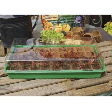 Mini Serra per la germinazione