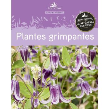 Le Guide : Plantes Grimpantes