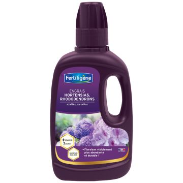 Concime per Ortensie, Rododendri, Camelie e Azalee
