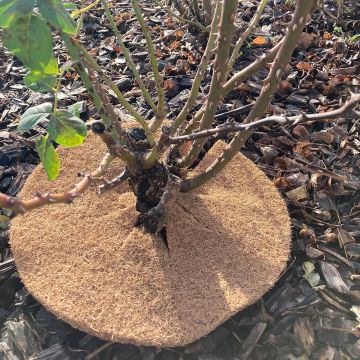 Disco di pacciamatura vegetale