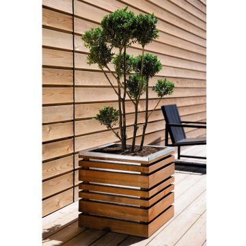 Bac Lign Z carré 60 cm