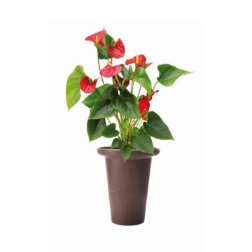Vaso rotondo green mineral Oslo Ø 39 x 46 cm (3 colori)