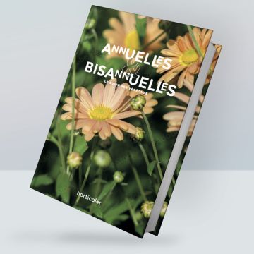 Piante annuali & Biennali - la guida
