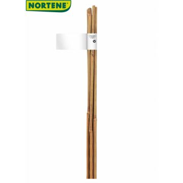 Tutori in bambù naturale - BAMBÙ