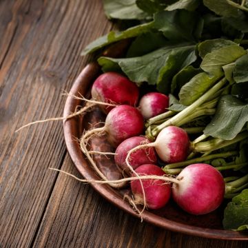 Ravanello National 2