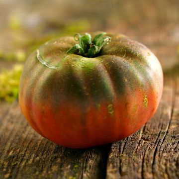 Pomodoro nero di crimea