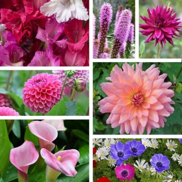 Assortimento Romantico per Cespugli