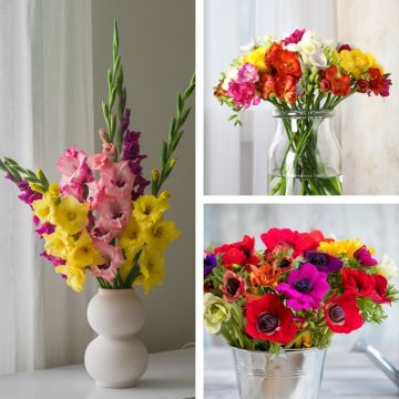 Assortimento 100 bulbi per bouquet