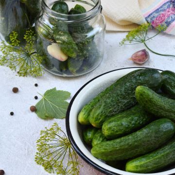 Cetriolino parigino HF1