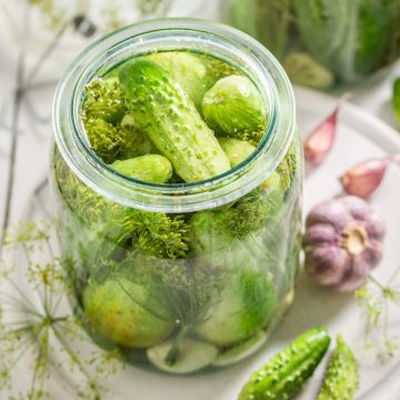 Cetriolino verde piccolo di Parigi
