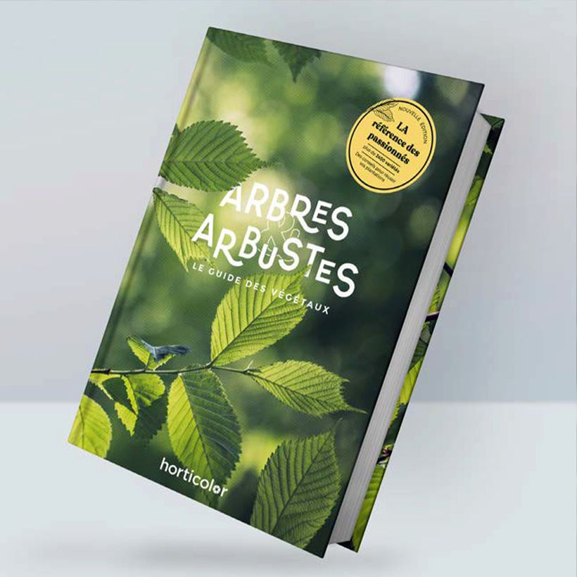 Alberi & Arbusti - La guida main product photo