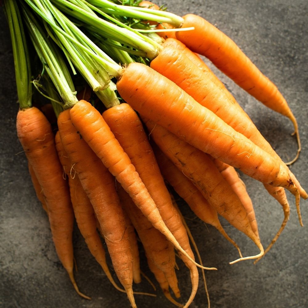 Carota nantese migliorata 3 main product photo