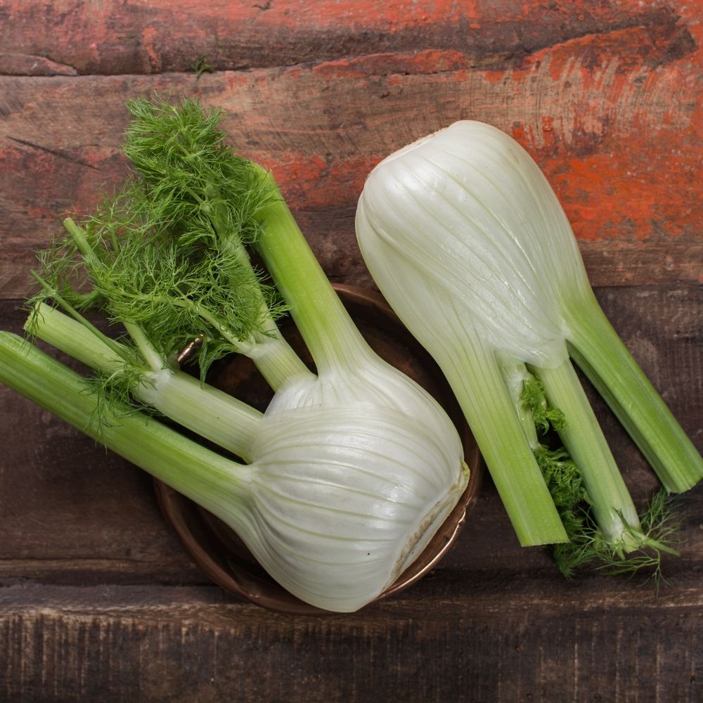 Finocchio dolce di Firenze main product photo