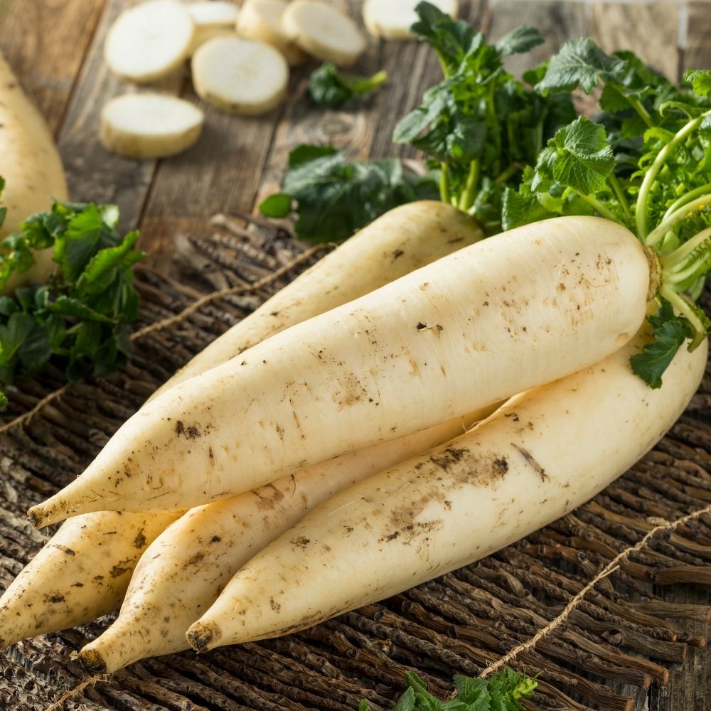 Rapa bianca dura d'inverno main product photo